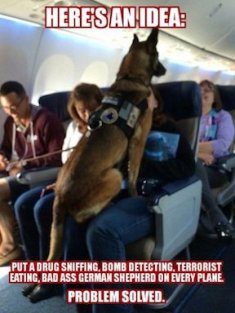 service-dog-memes-always-bring-out-the-smiles-1