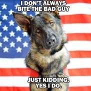 service-dog-memes-always-bring-out-the-smiles-25